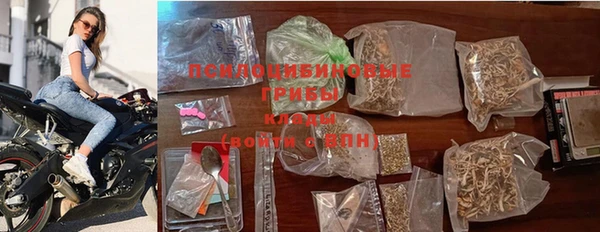 дмт Баксан