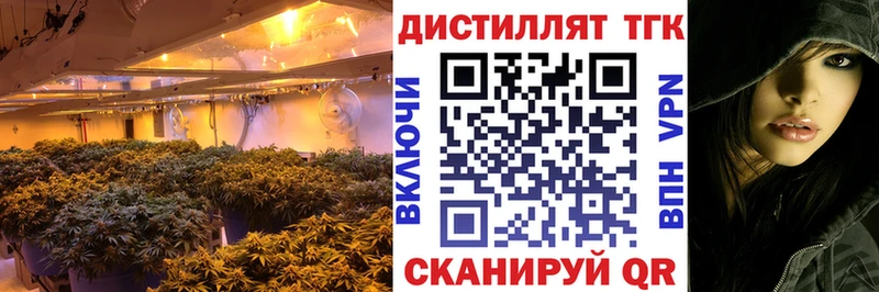 ТГК Wax  Нововоронеж 