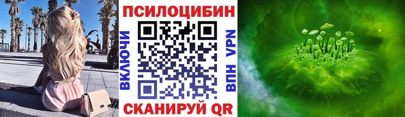 мориарти какой сайт  MEGA tor  Нововоронеж  Галлюциногенные грибы мицелий 